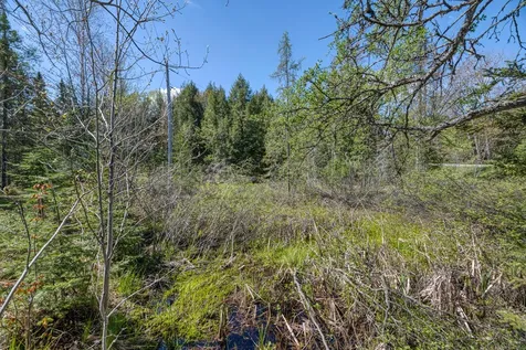 7421 Cth B Land O Lakes WI 54540