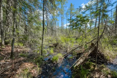 7421 Cth B Land O Lakes WI 54540