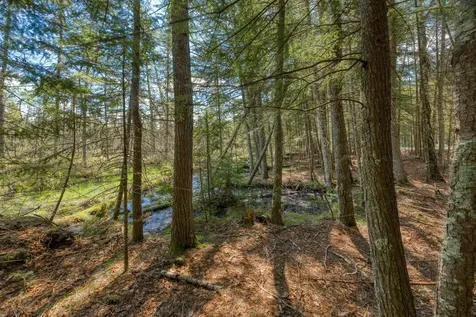 7421 Cth B Land O Lakes WI 54540