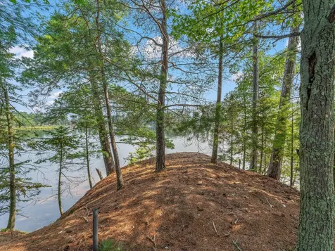 9485 Devine Island Minocqua WI 54548