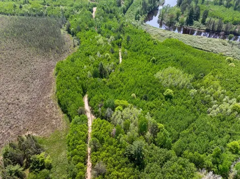 4017 Highway 51 Hazelhurst WI 54529