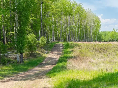 4017 Highway 51 Hazelhurst WI 54529