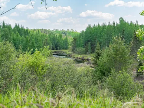 4017 Highway 51 Hazelhurst WI 54529
