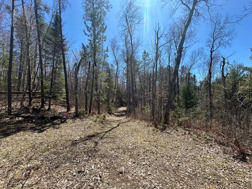 80AC Off Razorback Road Conover WI 54519
