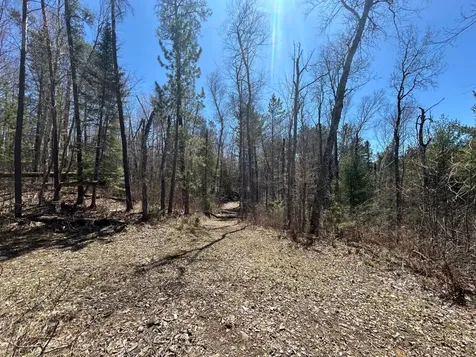 80AC Off Razorback Road Conover WI 54519