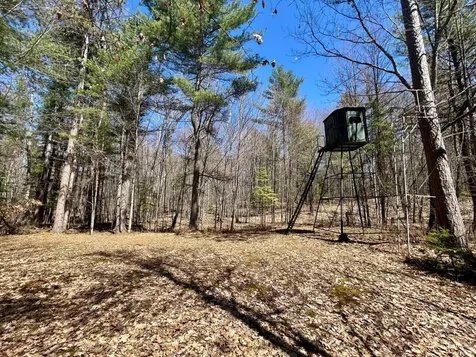 80AC Off Razorback Road Conover WI 54519
