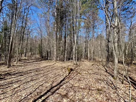 80AC Off Razorback Road Conover WI 54519
