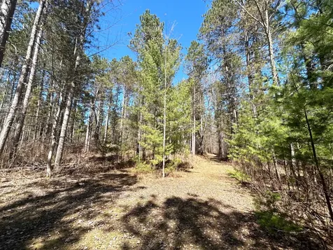 80AC Off Razorback Road Conover WI 54519