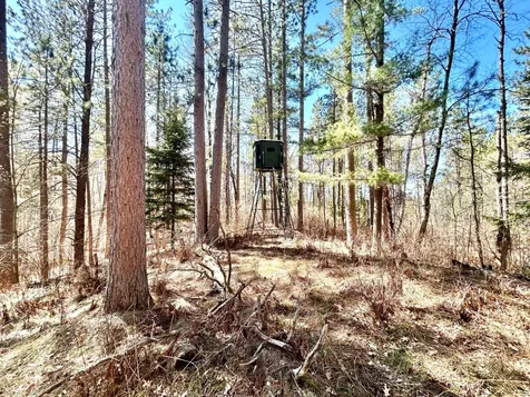 80AC Off Razorback Road Conover WI 54519