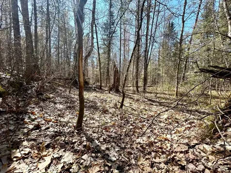 80AC Off Razorback Road Conover WI 54519