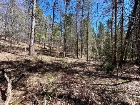 80AC Off Razorback Road Conover WI 54519