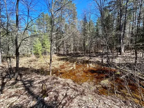 80AC Off Razorback Road Conover WI 54519
