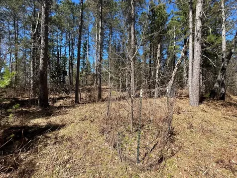 80AC Off Razorback Road Conover WI 54519