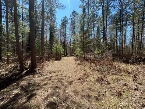 80AC Off Razorback Road Conover WI 54519