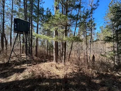 80AC Off Razorback Road Conover WI 54519
