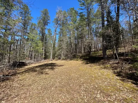 80AC Off Razorback Road Conover WI 54519