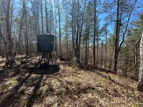 80AC Off Razorback Road Conover WI 54519
