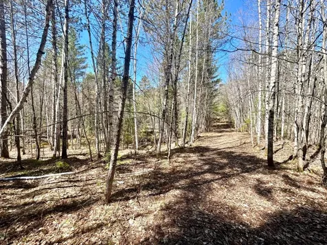 80AC Off Razorback Road Conover WI 54519