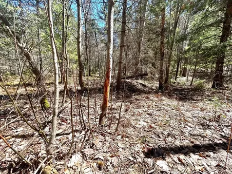 80AC Off Razorback Road Conover WI 54519