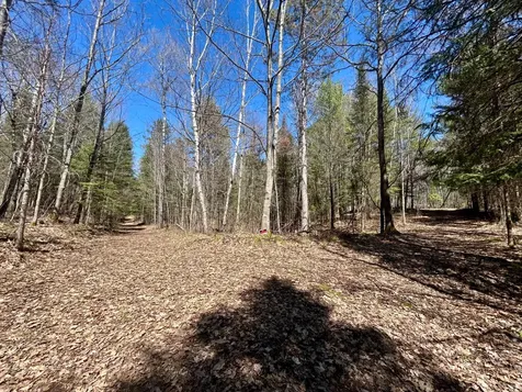 80AC Off Razorback Road Conover WI 54519