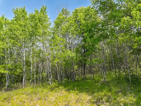 4017 Highway 51 Harshaw WI 54529