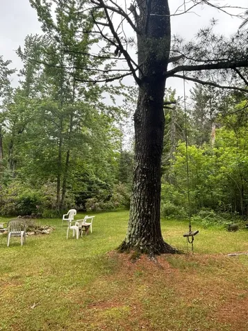 13344 Highway 32 Mountain WI 54149