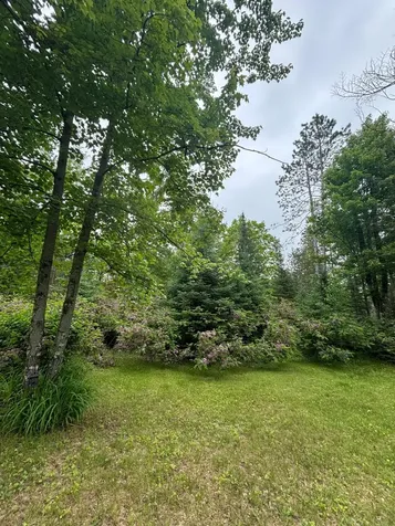 13344 Highway 32 Mountain WI 54149
