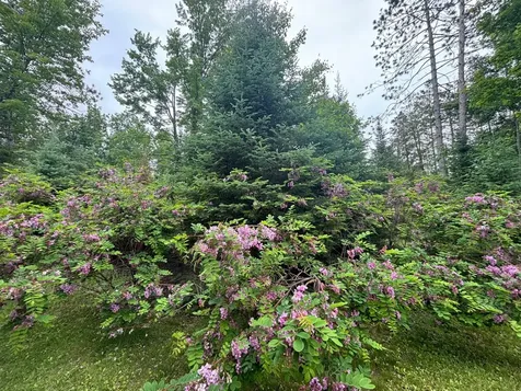 13344 Highway 32 Mountain WI 54149