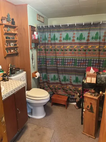 13344 Highway 32 Mountain WI 54149
