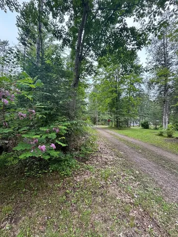 13344 Highway 32 Mountain WI 54149