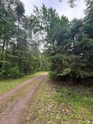 13344 Highway 32 Mountain WI 54149