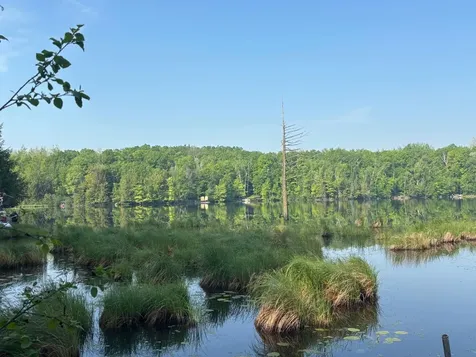 18363 Pickerel Lake Road Townsend WI 54175