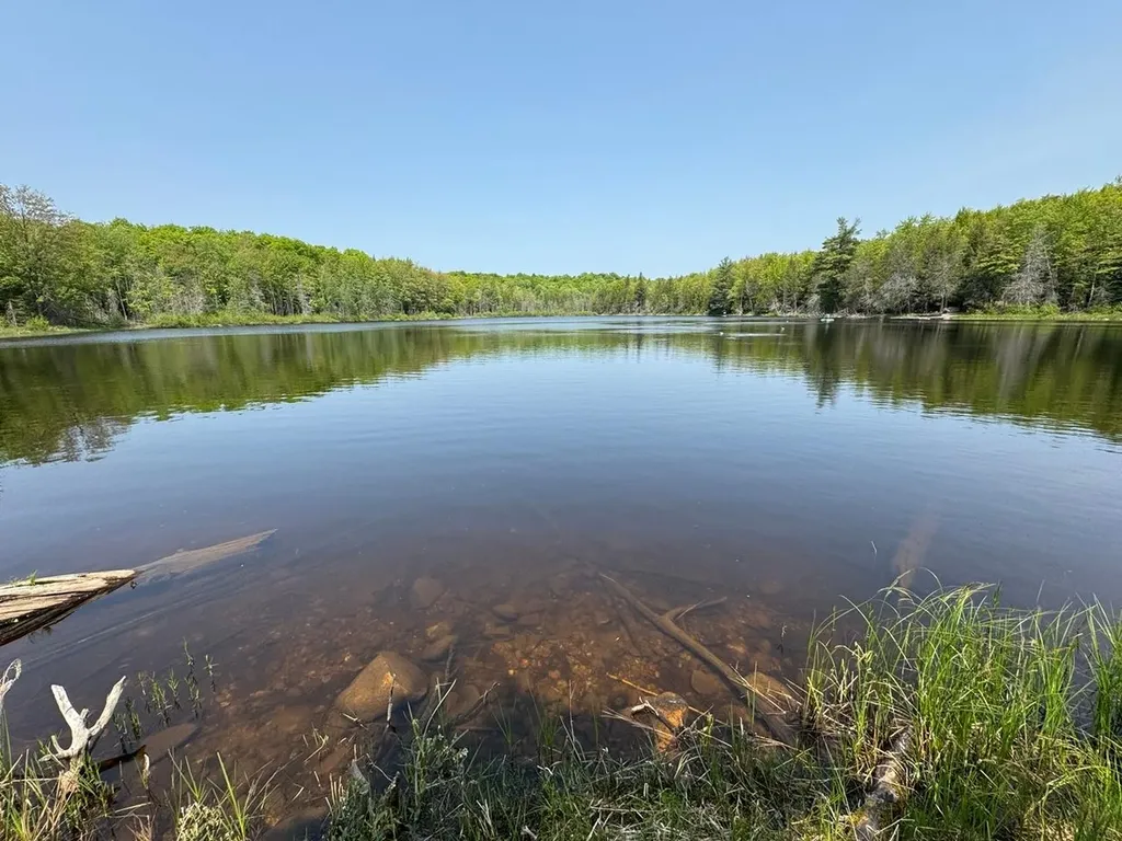 8677N Davis Road Mercer WI 54534