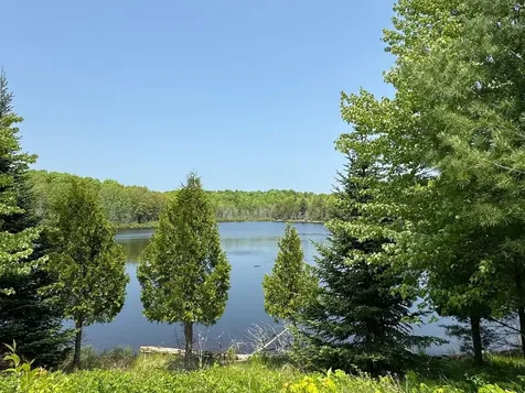 8677N Davis Road Mercer WI 54534