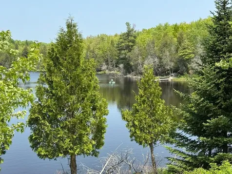 8677N Davis Road Mercer WI 54534
