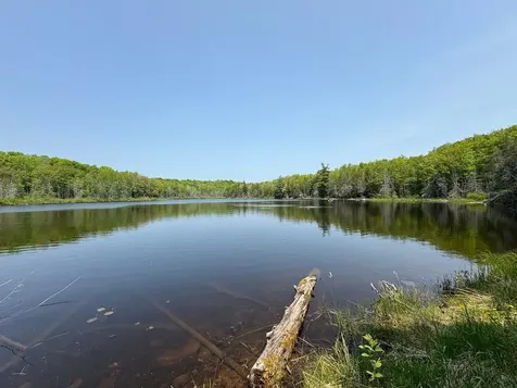 8677N Davis Road Mercer WI 54534