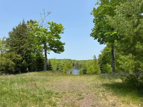 8677N Davis Road Mercer WI 54534