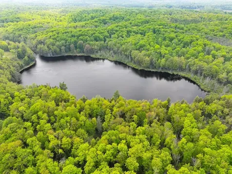 8677N Davis Road Mercer WI 54534