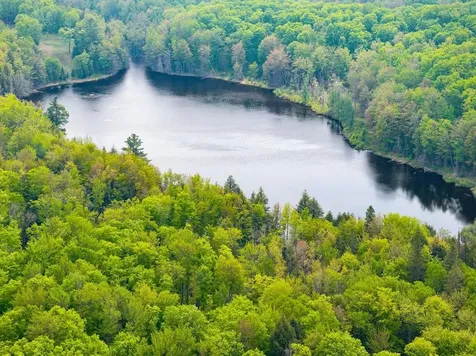 8677N Davis Road Mercer WI 54534