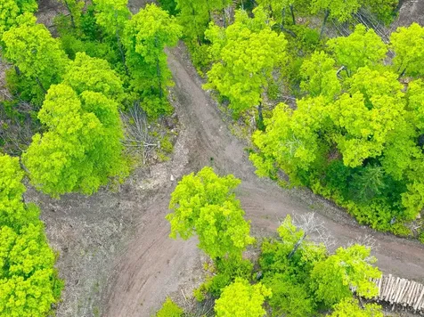 8677N Davis Road Mercer WI 54534