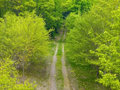 8677N Davis Road Mercer WI 54534