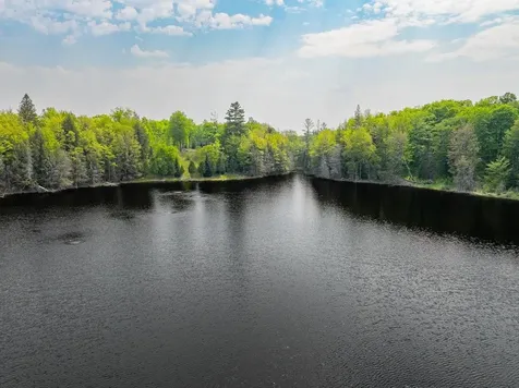 8677N Davis Road Mercer WI 54534