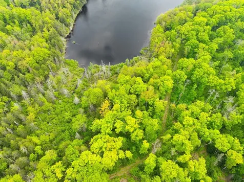 8677N Davis Road Mercer WI 54534
