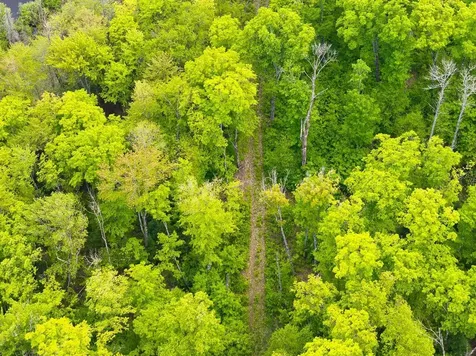 8677N Davis Road Mercer WI 54534