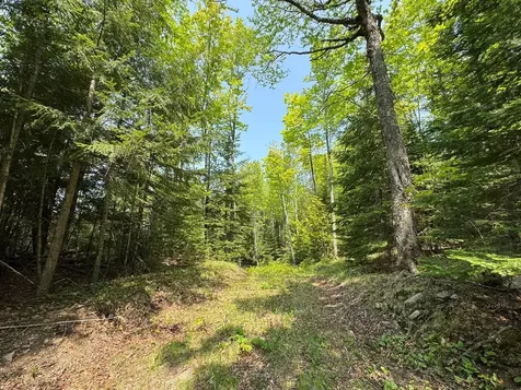 8677N Davis Road Mercer WI 54534
