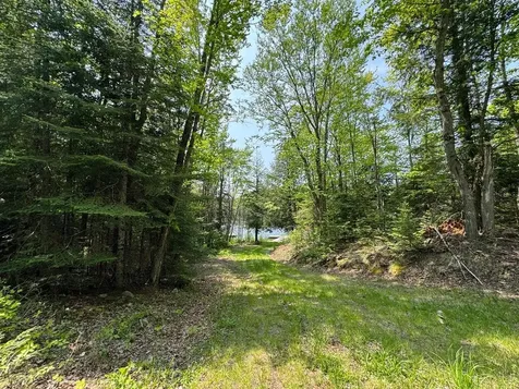 8677N Davis Road Mercer WI 54534