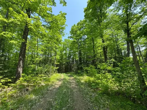 8677N Davis Road Mercer WI 54534