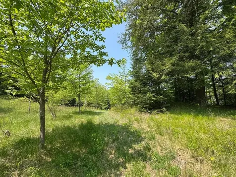 8677N Davis Road Mercer WI 54534