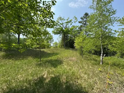 8677N Davis Road Mercer WI 54534