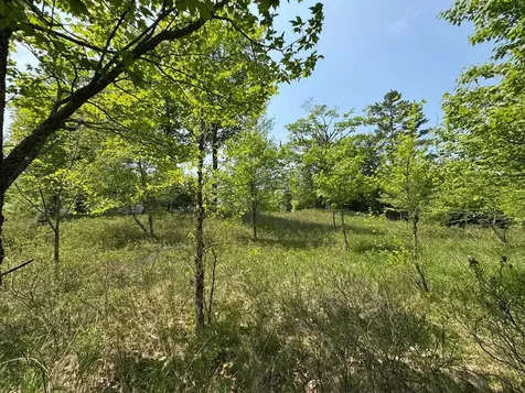8677N Davis Road Mercer WI 54534